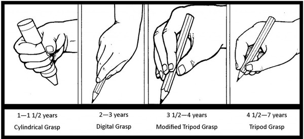 fine-motor-grasp-development-with-names