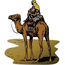 camel