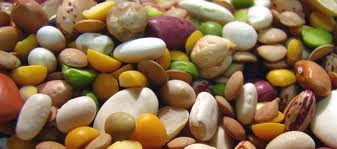 legumes