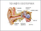 afti-anatomia_2