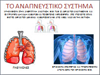 Εποπτικό υλικό για τα εσωτερικά όργανα του σώματος
