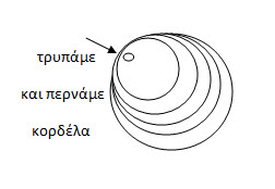 sxima4