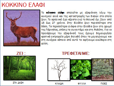 Ζώα που κινδυνεύουν να εξαφανιστούν-κόκκινο ελάφι